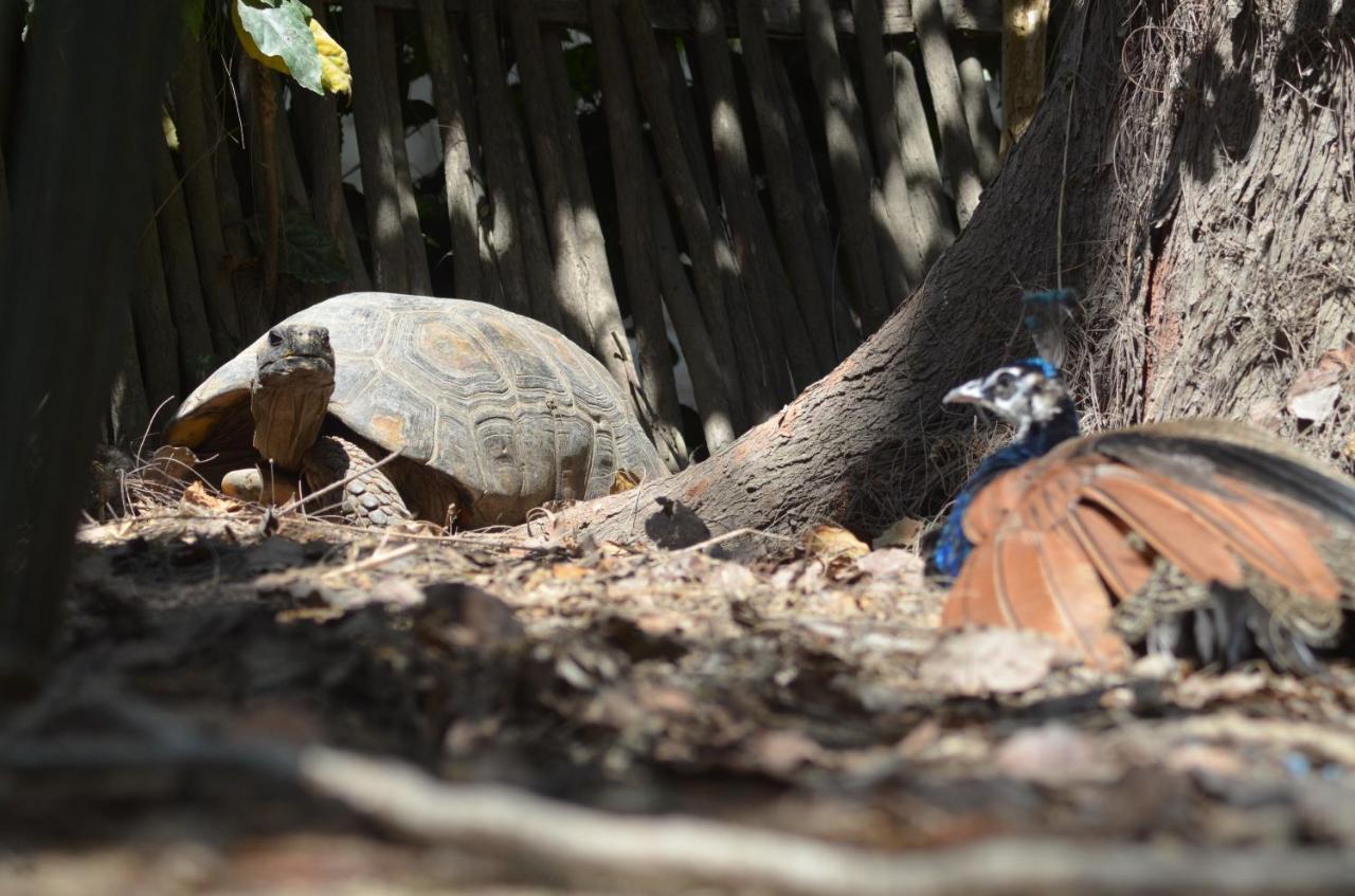 Hosteria Ecologica El Faro Salinas  Dış mekan fotoğraf